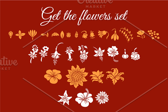 Flowers Silhouettes Set in Illustrations - product preview 1