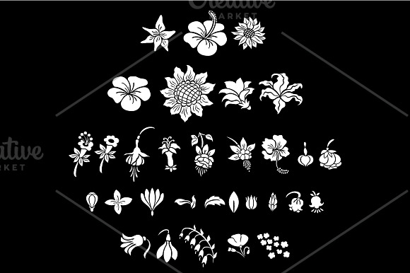 Flowers Silhouettes Set in Illustrations - product preview 3