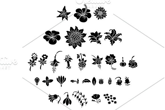 Flowers Silhouettes Set in Illustrations - product preview 4
