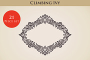 Climbing Ivy