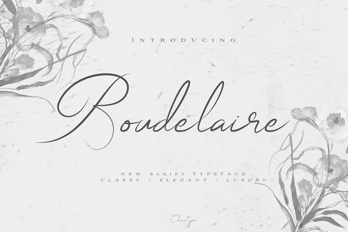 Boudelaire Script in Script Fonts - product preview 8