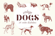 VINTAGE DOGS | 26 Vectors