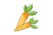 Color vector illustration. Carrot 