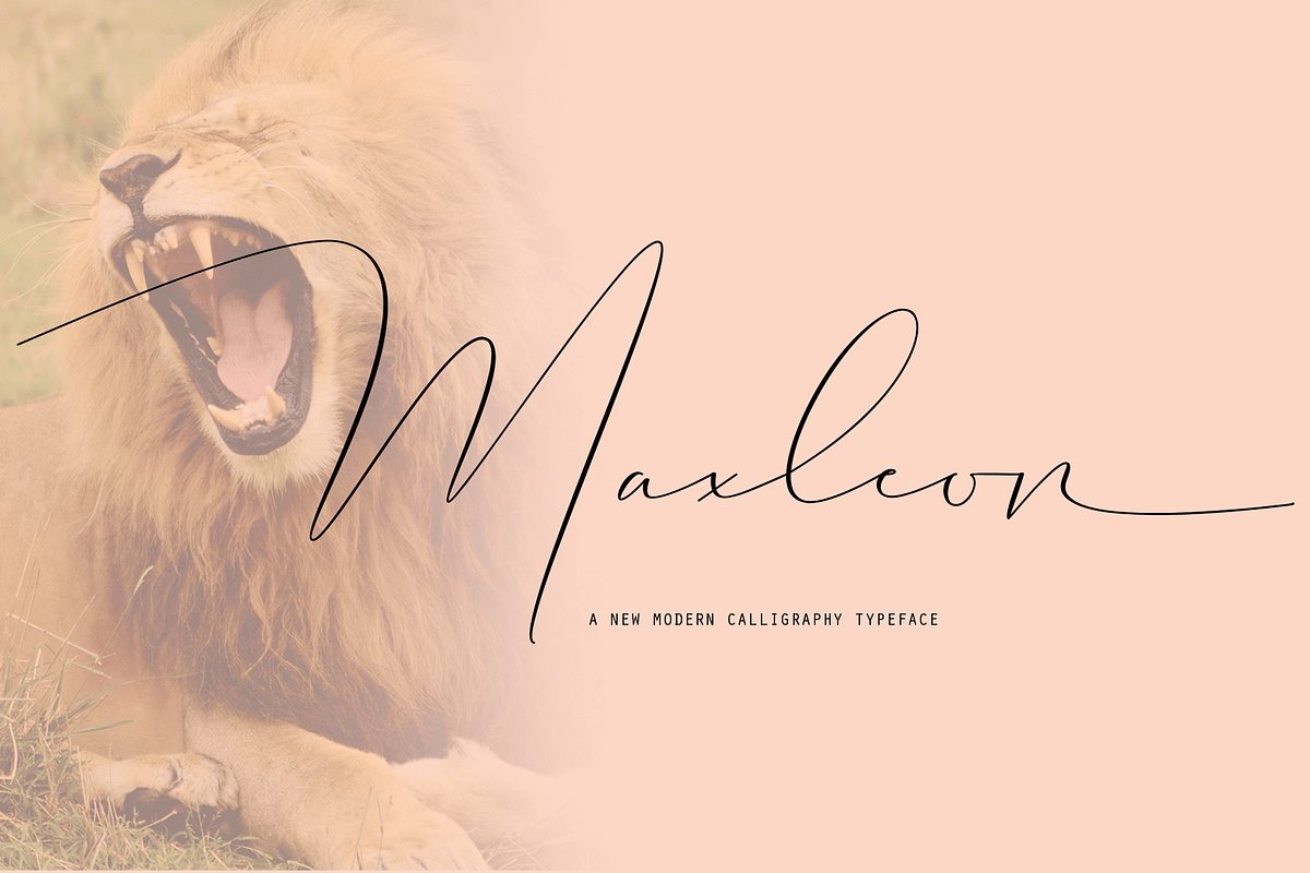 Maxleon in Script Fonts - product preview 8
