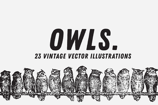 OWLS | 23 Vintage Vectors