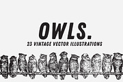 OWLS | 23 Vintage Vectors