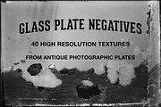 Glass Plate Negatives