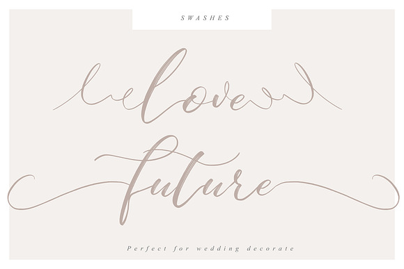 Shine Yolk in Script Fonts - product preview 6