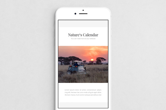 Africa Instagram Stories in Instagram Templates - product preview 6