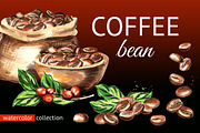 Coffee bean. Watercolor collection