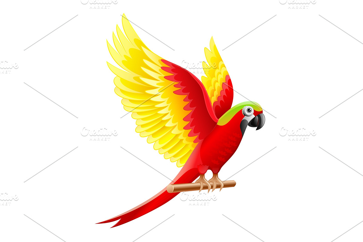 Budgerigar parrot Ara waving wings in Illustrations - product preview 8
