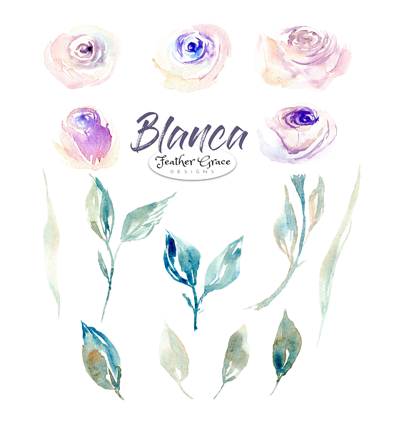 White Flowers & Roses in Illustrations - product preview 5