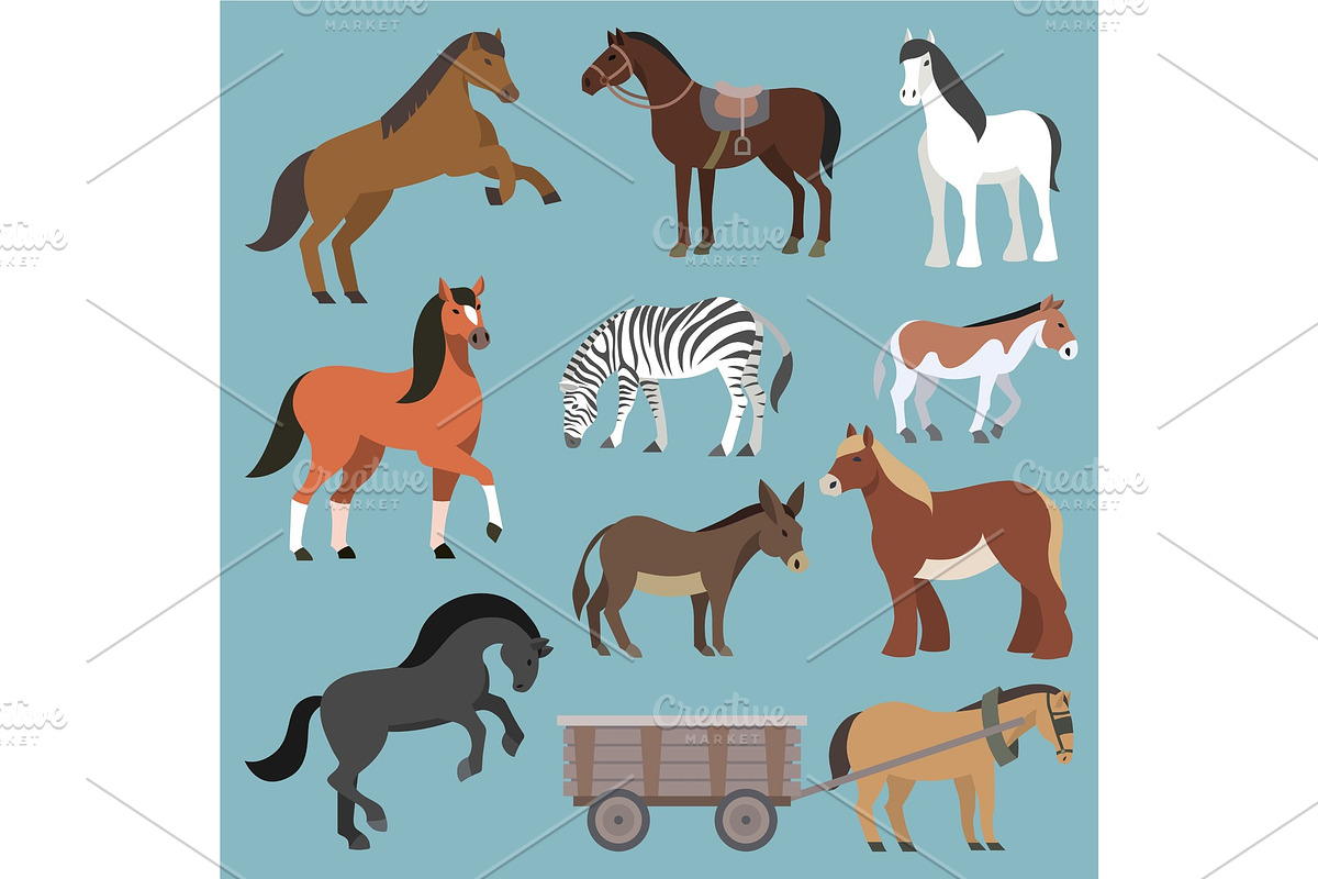 Horse vector animal of horse-breeding or equestrian and horsey or equine stallion illustration animalistic horsy set of pony zebra and donkey character isolated on background in Illustrations - product preview 8