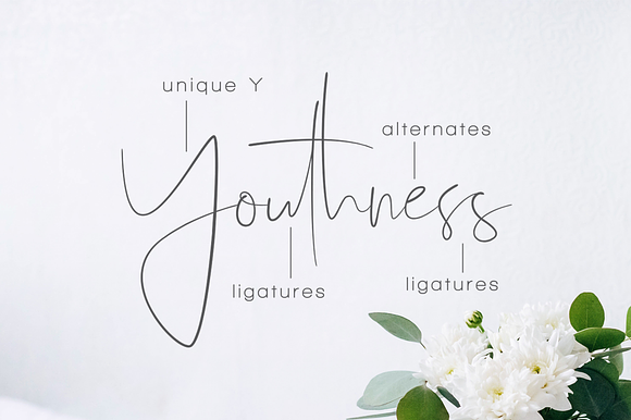 Youthness Family - 50% OFF in Script Fonts - product preview 1