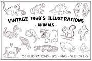 Vintage 1960's Illustrations-Animals