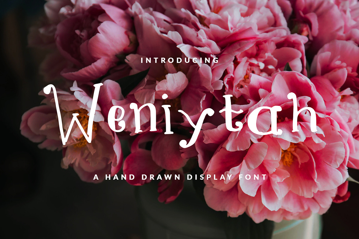 WENIYTAH FONT GIRLY & FUN in Display Fonts - product preview 8