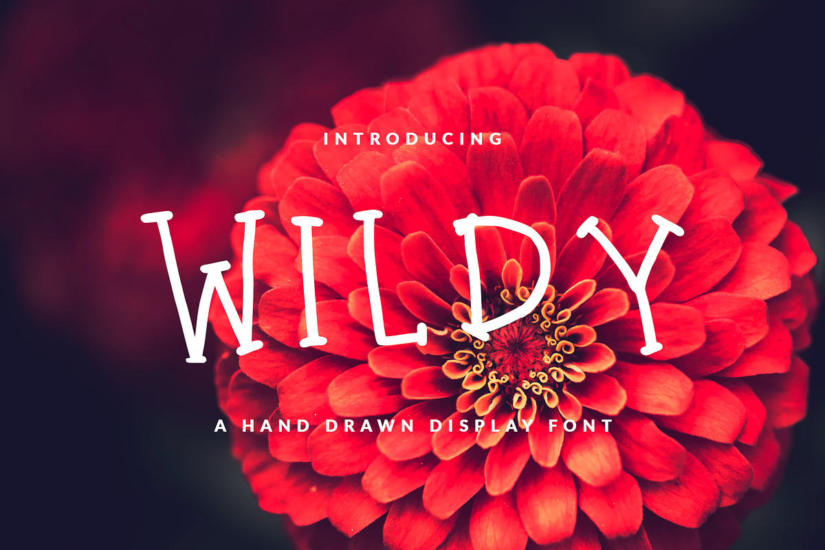 WILDY FONT FEMININE & FUN in Display Fonts - product preview 8