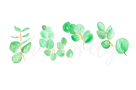 Watercolor Eucalyptus Clipart in Illustrations - product preview 1
