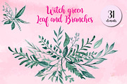 Witch Green Leaf and Branches