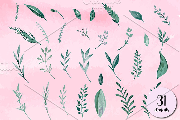 Witch Green Leaf and Branches in Illustrations - product preview 1