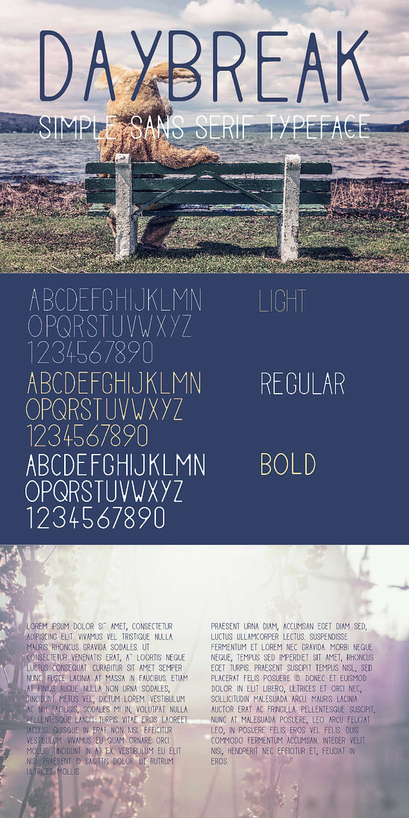 Typeface bundle | 56 Font Styles in Sans-Serif Fonts - product preview 3