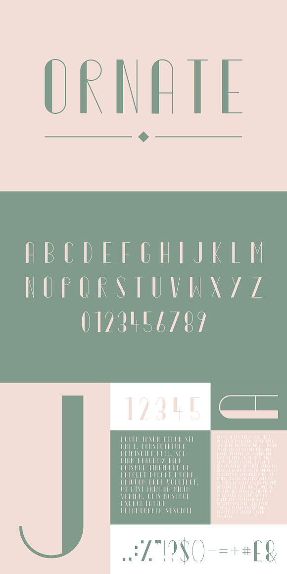 Typeface bundle | 56 Font Styles in Sans-Serif Fonts - product preview 13