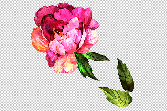 Elegant flower pink peony PNG set in Illustrations - product preview 4
