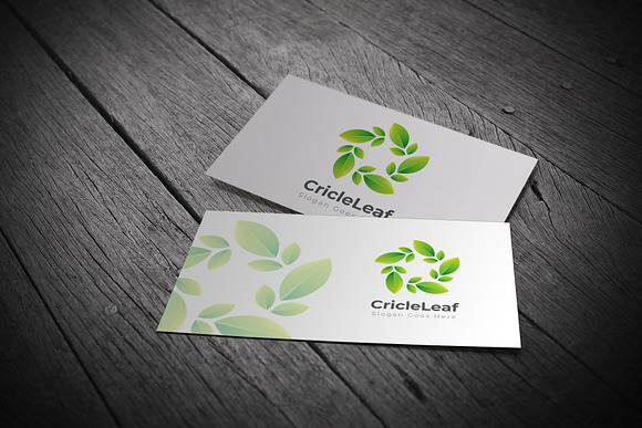 Leaf / Organic / Green in Logo Templates - product preview 2