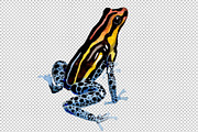 Blue frog PNG watercolor set