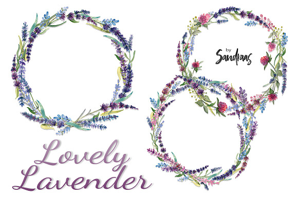 Watercolor lavender clip art in Illustrations - product preview 2