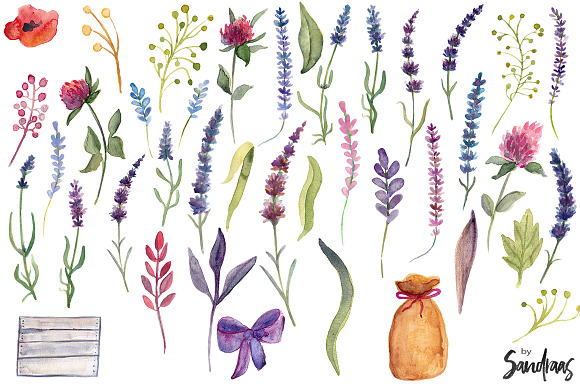 Watercolor lavender clip art in Illustrations - product preview 3