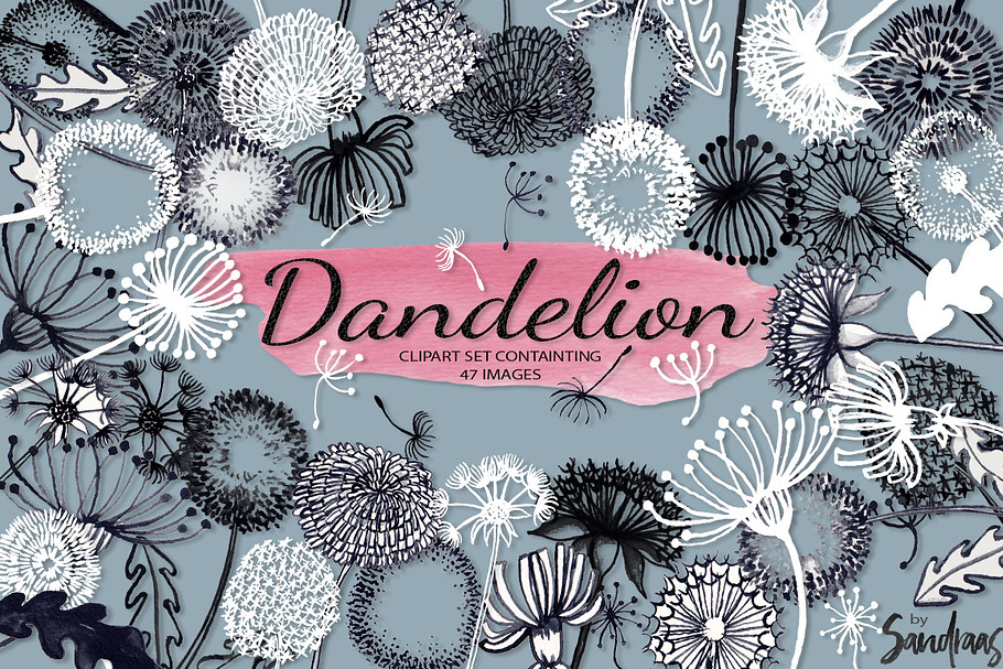 Dandelion handpainted clip art in Illustrations - product preview 8