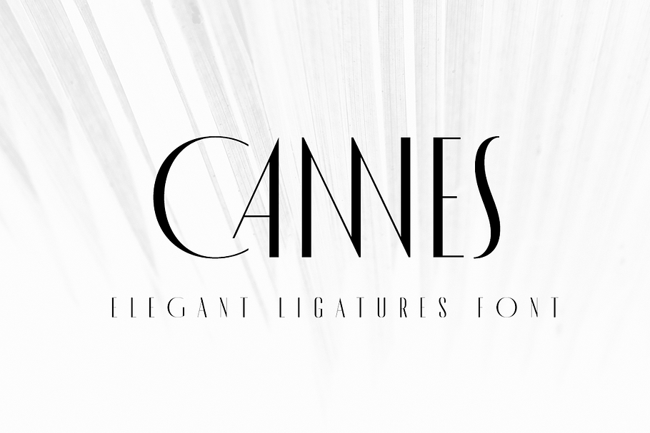 MADE Cannes in Sans-Serif Fonts - product preview 8
