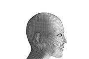 Human head. Wireframe model on white. Artificial intelligence in futuristic technology concept, 3d illustration