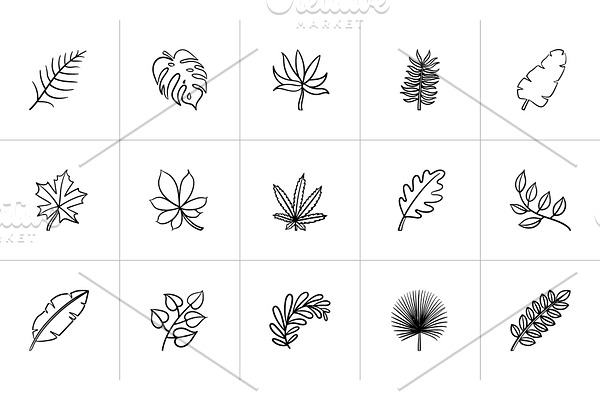 Leaves of plants and trees sketch icon set.