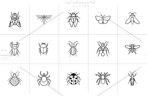 Insects sketch icon set.