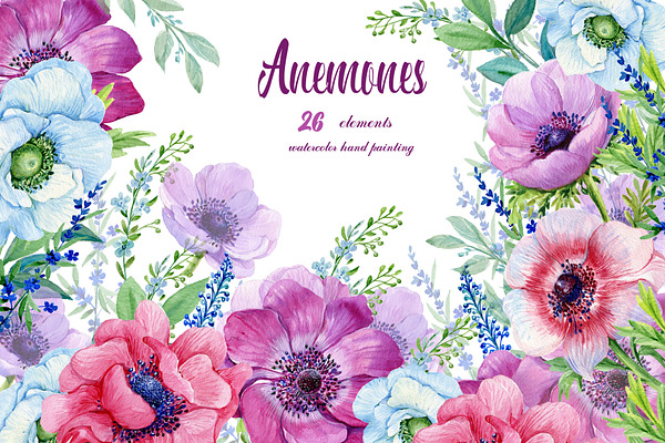 Anemones Watercolor . Flowers Clipar