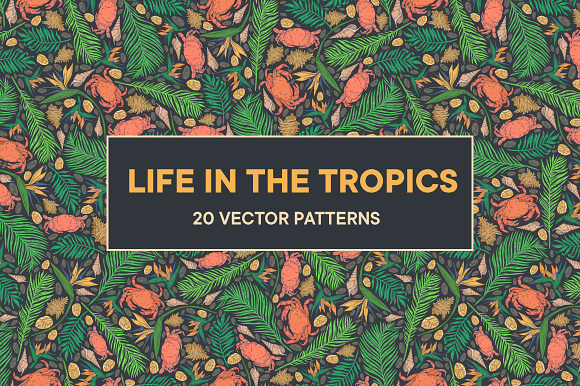 Life in the Tropics patterns in Patterns - product preview 13