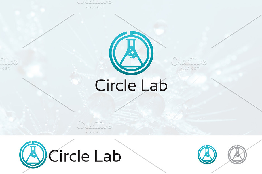 Circle Lab Laboratory Logo in Logo Templates - product preview 8