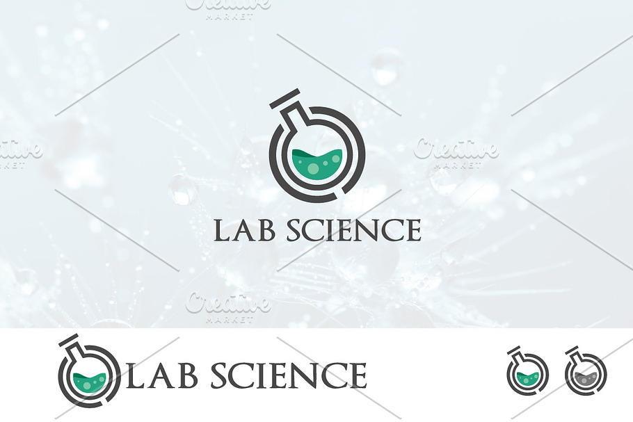 Elegant Lab Laboratory Science Logo in Logo Templates - product preview 8
