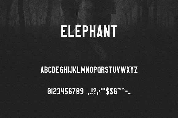 Elephant Font Family -50% in Sans-Serif Fonts - product preview 7