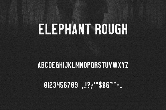 Elephant Font Family -50% in Sans-Serif Fonts - product preview 8