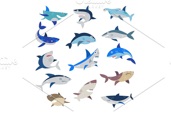 Shark vector cartoon seafish with sharp teeth in jaw illustration set of attacking fishery character in ocean isolated on white background