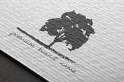 Premium Tree Logo - Mock-Up & Vector