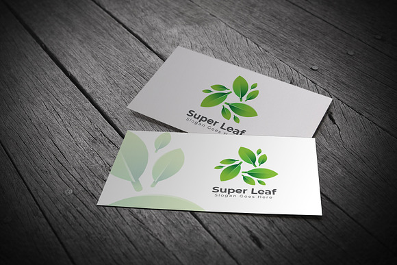 Leaf Logo in Logo Templates - product preview 2
