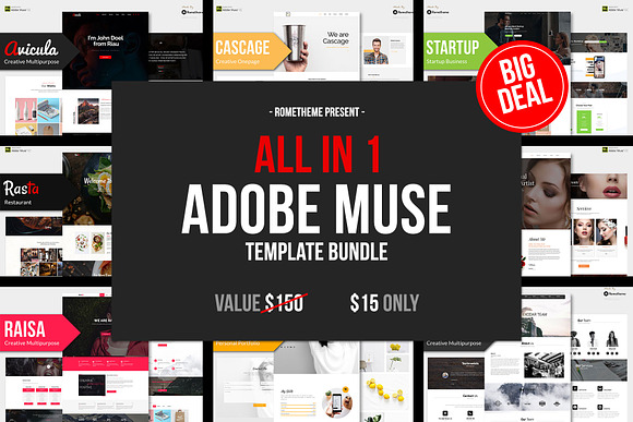 All in 1 - ADOBE MUSE BUNDLE in Website Templates - product preview 10