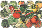 Vintage Vegetable Collage Sheets C1