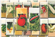 Vintage Vegetable Collage Sheets R1
