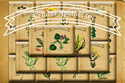 Natural Apothecary Images P1