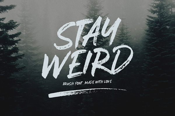 Stay Weird - Brush Font + Swashes